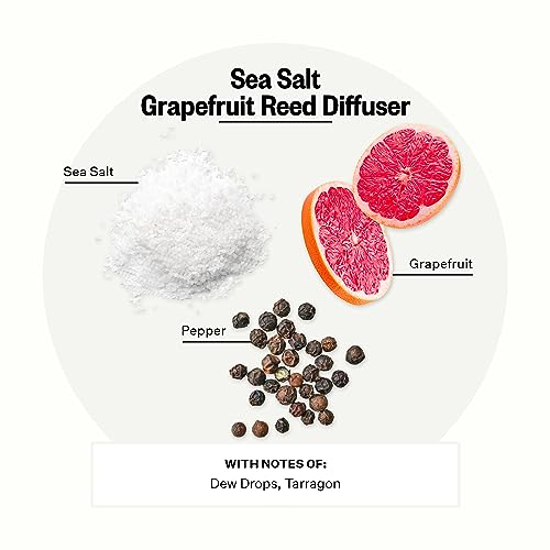 Image of Apotheke Luxury Scented Reed Diffuser for Home, Sea Salt Grapefruit - 6.7 Fl Oz Essential Oil Aromatherapy - 10 Rattan Scent Sticks Room Diffuser - Long-Lasting Fragrance for Bedroom, Home, Bathroom