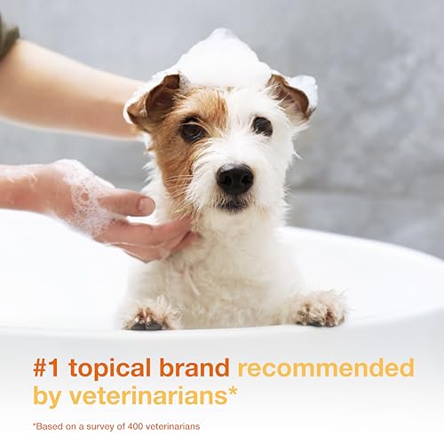 Douxo S3 Pyo Shampoo, Contains 3% Chlorhexidine & 0.5% Ophytrium, Antiseptic & Hydrating, For Bacterial or Yeast Skin Infections, For Dogs and Cats, 6.7 fl. oz. (200mL) - Image 4