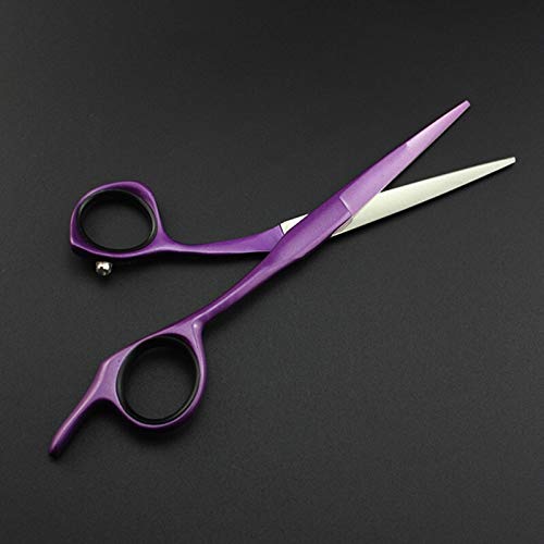 Ciseaux de coiffure professionnels en acier 440 couleur violet 5 pouces