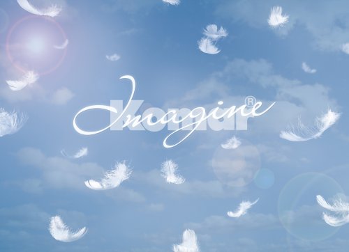 Preisvergleich Produktbild Komar - Fototapete HEAVEN ON EARTH - 254 x 184 cm - Tapete, Wand Dekoration, Himmel, Federn, Dream, Wolken - 4-121