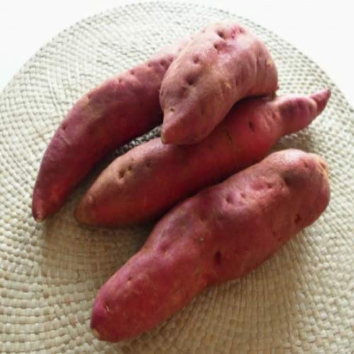 啪Y@Gi@Ñ@IׂTCY@S`3LTCY@5kg (2l)