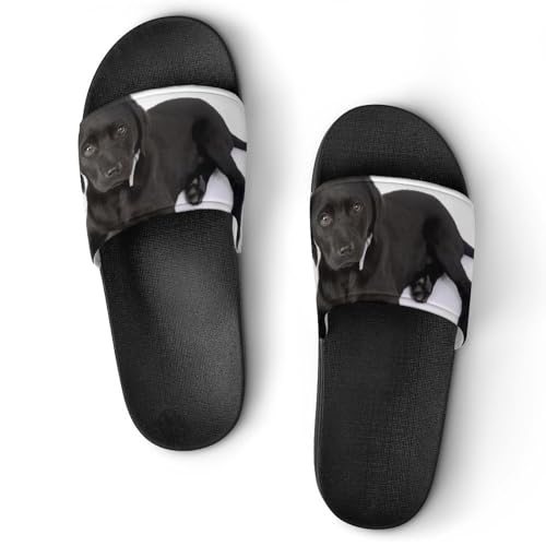 Claquettes Femme Chien Labrador Noir : évitez les glissades avec ces pantoufles