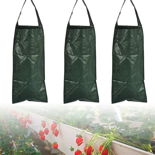 BUDPSI Sac de Plantation 3 Pièces 10 Trous Jardinieres Exterieur Suspendue, 58 X 25,5 cm Jardiniere Suspendue, Sac Culture Fraises, Pot Fleur Sac Croissance,...
