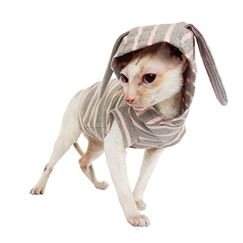 Vetements Pour Chat Meilleurs Habits Deguisements Et Costumes Vetements Pour Chat Meilleurs Habits Deguisements Et Costumes