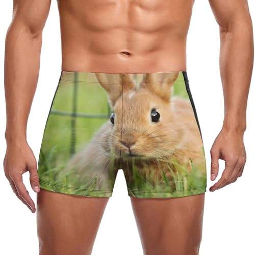 Maillot de bain homme Lapin d'herbe slip séchage rapide