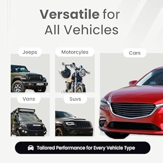 Viair 00088 88P Portable Air Compressor