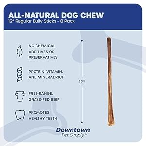   Downtown-Pet-Supply-12-inch-Bully-Sticks-for-Large-Dogs-Pack-of-8-Single-Ingredient-Rawhide-Free-Dog-Chews-for-Aggressive-Chewers-Nutrient-Rich-and-Odor-Free-Bully-Sticks-for-Dogs-Beef