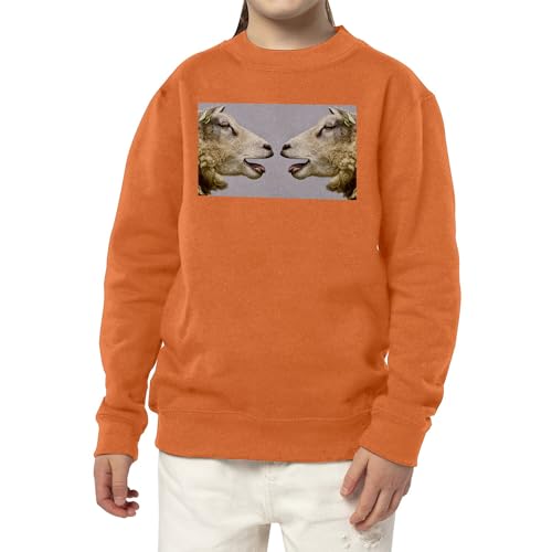 Sweatshirt enfant brebis moutons pull animaux domestiques