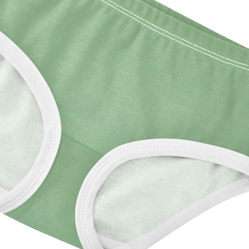Joisal Dinosaur Green Dark Sea Gradient Girls Underwear Toddler 2t Cotton Panties for Girl Durable Briefs Undies Kids4