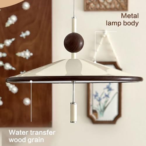 Iluminación deficiente + Luz orientable + Lámpara colgante LED ajustable 6