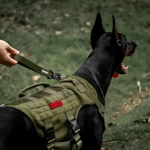 OneTigris Bolt Kurzführer Hund 30cm, Hundeleine Kurz mit Tiger Zahn Metallclip und Weiche Polsterung, Reflektierend Nylon Hundeleine Geeignet für Mittlere Große Hunde Grün
