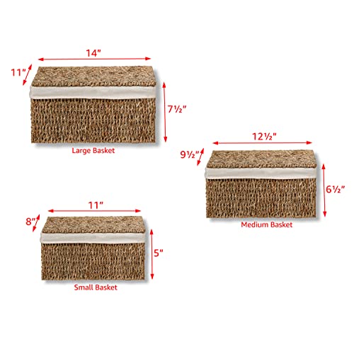 Set Of 3 Rectangular Seagrass Baskets With Lids And Removable Fabric Liners By Trademark Innovations (Small) #TOP2