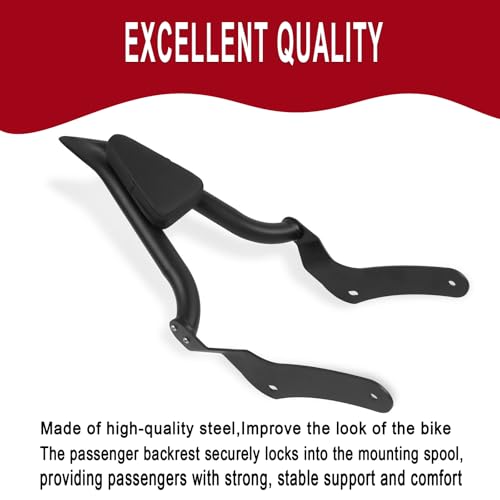 WORLDMOTOP Detachable Sissy Bar