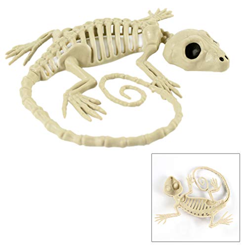 GALPADA 1 peça adereços de esqueleto animal assustador de Halloween feliz Halloween crânio assustado