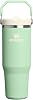 Stanley The IceFlow™ Flip Straw 2.0 Tumbler 0.89L / 30oz Pistachio Termos AS1013424061 Yeşil