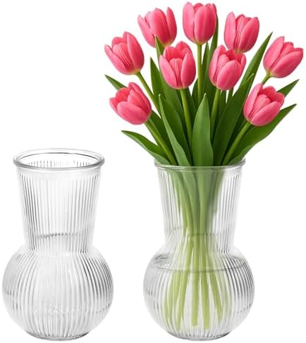 2 Glass Vases, Tulip Vase, 17 x 12 x 12 cm, Glass Material, Ideal...