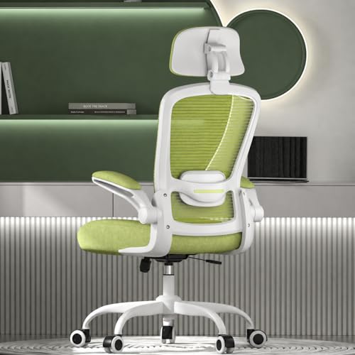 Mimoglad Office Chair with Lumbar Support & Headrest