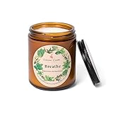 Chaconia Candles Nontoxic, Clean Burning, Long Lasting Scented Candle | Sustainably Handmade | Cocon