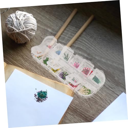 Flores secas naturales para manualidades DIY miniatura 5