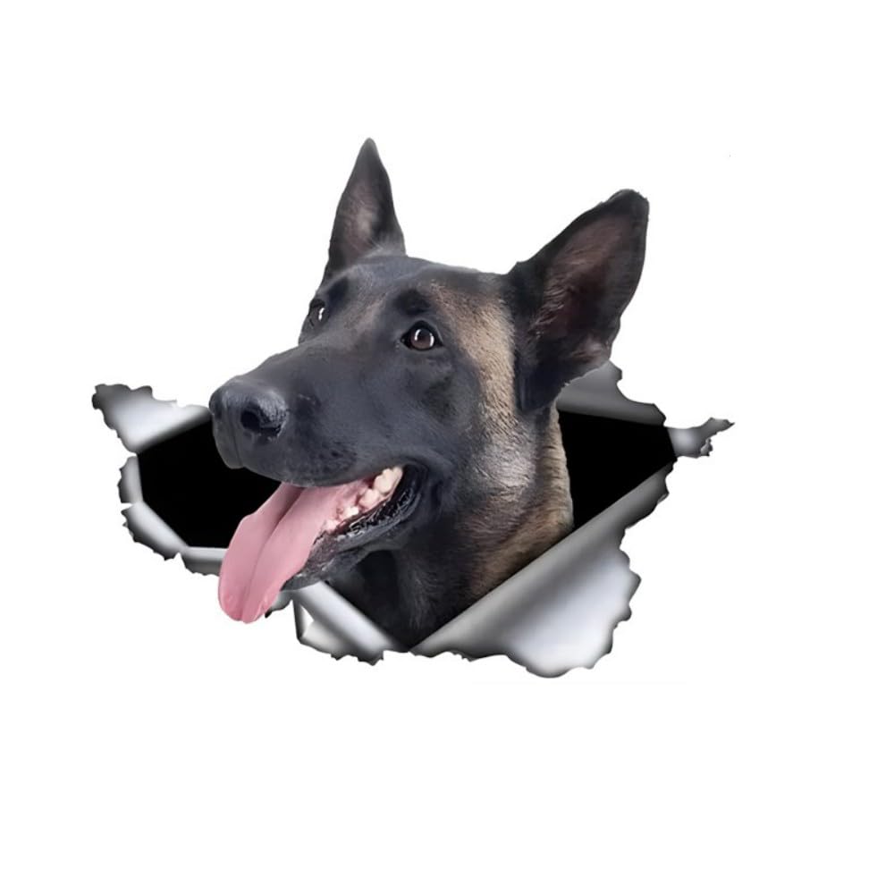 Belgian Malinois Autoaufkleber, 3D Zerrissener Effekt, Wasserfester Reflektierender Hund Aufkleber für Auto, Laptop, Kühlschrank, Stoßstange, Fenster, Wohndekoration (18cm/7.1 Inch)