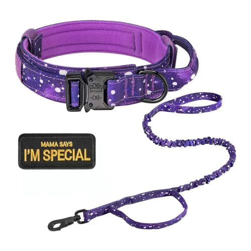 Collar De Perro Táctico Militar Ajustable De Nailon Duradero Juego De Collar Y Correa para Perro Táctico Militar para Acampar Al Aire Libre, Collar De Entrenamiento De Caza para Pastor Alemá