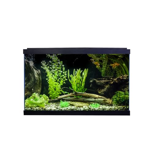 Swell Premium 50cm Tropical Fish Tank, 38L, 50 x 26 x 32cm, LED Lighting, 4-Stage Filtration