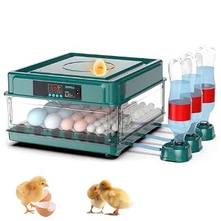 Gagafeel couveuse automatique 36 œufs, eau externe