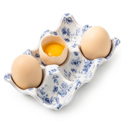 MISSYSSIM Ceramic Egg Holder for Fridge, Egg Trays, Deviled Egg Containers