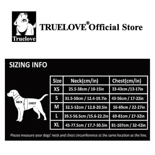 Harnais pour chien et chat bleu M 56-69cm avec 19 modes d'éclairage - 3