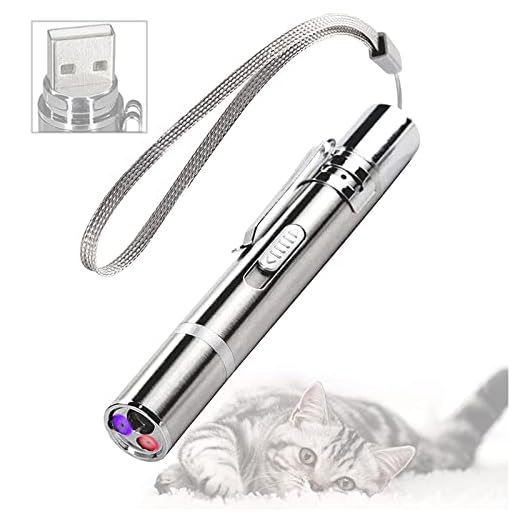 Cat Chaser speelgoed, USB oplaadbaar, huisdier training oefening tool voor kat hond