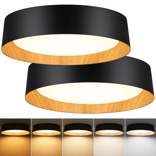 Image of Flush Mount Ceiling Light, 16in Modern Ceiling Light 5 Color Temperature