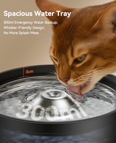 FEELNEEDY Trinkbrunnen für Katzen - 3L Katzenbrunnen Leise mit Aktivkohlefilter - Trinkschale aus Edelstahl - Durchsichtiger Wassertank - Wasserbrunnen für Katzen - Schwarz