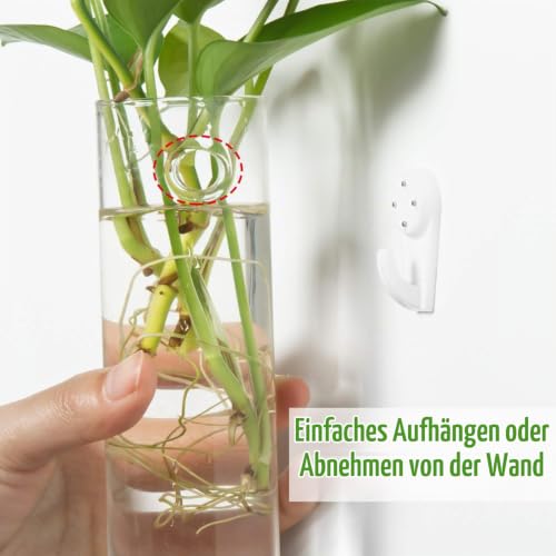 Vumdua Glas-Pflanzgefäße, transparent, 15 x 4,7 cm (HxD), geeignet für die meisten Wasserpflanzen, perfekt für Anzuchtstation… – Ansicht 5