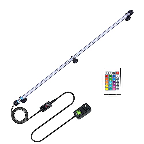 Best Aquarium Lighting For Fish Color In 2023 Aqua Movement