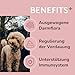 PUURY® Probiotika-Komplex für Hunde für eine ausgewogene Darmflora | Leckere Snacks zur Darmsanierung | Mit Flohsamenschalen, Prä- und Probiotika, Lachsöl | 90 Leckerlis (270g), 3 Monatsvorrat