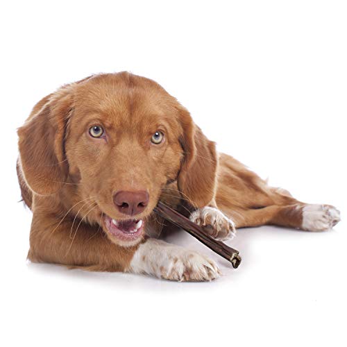 Cadet Beef Sticks For Dogs Beef 12 Oz. #TOP2
