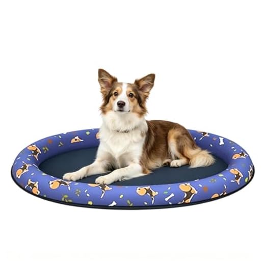 Durable Inflatable Dog Pool Float
