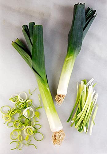 GARDENIFY INDIA F1 HYBRID LEEK SEEDS (100 SEEDS/PACKET) (B094GRB8H4) Amazon Price History, Amazon Price Tracker