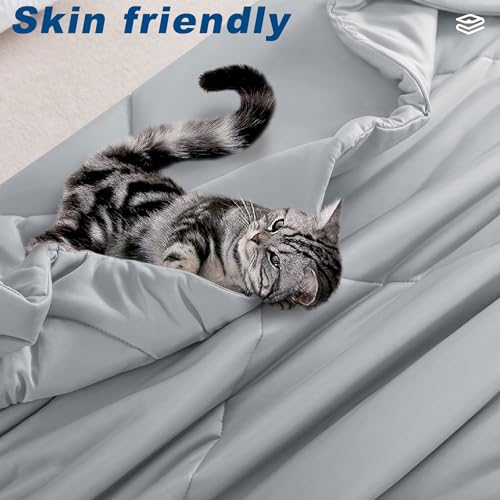 Cooling Comforter Queen Size, Double-Sided Cold Tech Fabric Quilted Bed Comforters Cooling Blanket for Hot Sleepers, Breathable Lightweight Summer Bedding, All-Season Ice Blanket, Light Gray