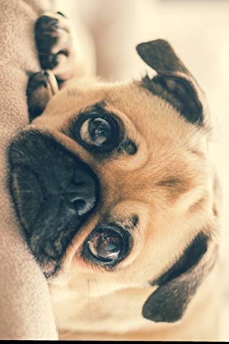 I THINK I PUG YOU!