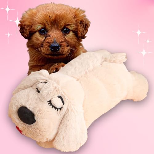 Leap Raupe sʂ  ʂ 傫 v n[gr[g (AC{[)