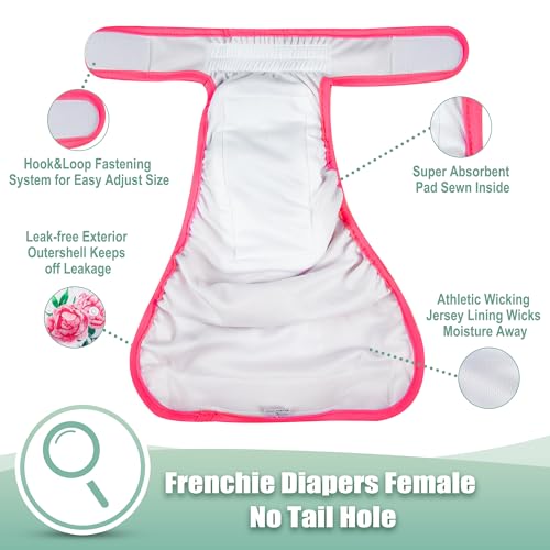 Image of wegreeco XX-Large Dog Diapers Female No Tail Hole, Reusable French Bulldog Diapers Female (Ocean of Flowers XX-Large)