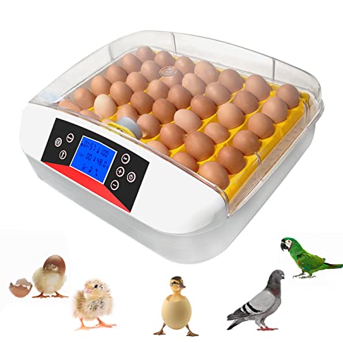 42 Eggs Incubators for Hatching Eggs with LED Light, Fully Automatic Turning, Humidity and Fahrenheit Temperature Control, Incubator for Chickens, Ducks, Quails Eggs