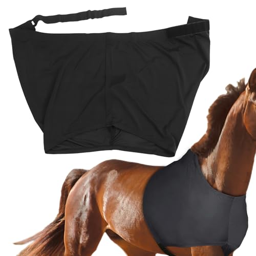 Hombreras para caballo transpirables y chaleco elástico de protección 8