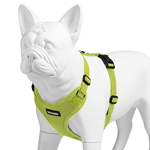 Best Pet Supplies Voyager Step-in Lock Pet Harness, All Weather Mesh - Image 3