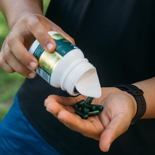 Própolis verde 30 cápsulas - Montenegro Nutrition