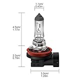 WinPower H8 12V 35W Bulb Halogen 3000K Yellow for Car Fog Light/Motorbike Headlight Bulb, 2 Pieces - Image 3