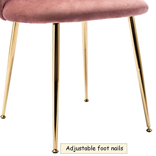 Chairus Dining Chairs Set Of 2, Velvet Upholstered Vanity Chair With Gold Metal Legs, Living Room Bedroom Modern Accent Chairs Side Chair, Dusty Pink #TOP4