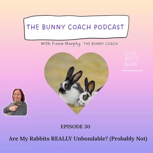 #30 - Are My Rabbits REALLY Unbondable? (Probably Not)