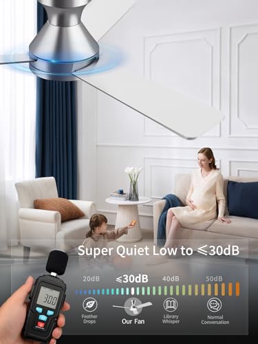 Image of LANMEL Ceiling Fan with Light, Modern Flush Mount Low Profile with Remote Control, Reversible, 3CCT Dimmable, Quiet,LED for Bedroom, Living Room, Indoor /Outdoor Patio Use 42 Inch Silver